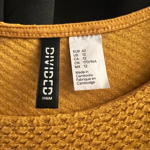 H&M Mustard Textured Skater Dress - Picture 3 of 3